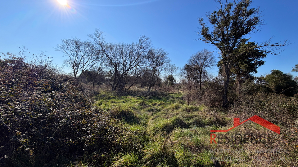 Pula&comma; Monte Turco&comma; zemlji&scaron;te&comma; struja&comma; bu&scaron;otina vode