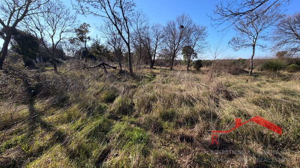 Pula&comma; Monte Turco&comma; zemlji&scaron;te&comma; struja&comma; bu&scaron;otina vode