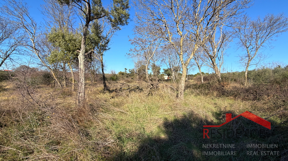 Pula&comma; Monte Turco&comma; zemlji&scaron;te&comma; struja&comma; bu&scaron;otina vode