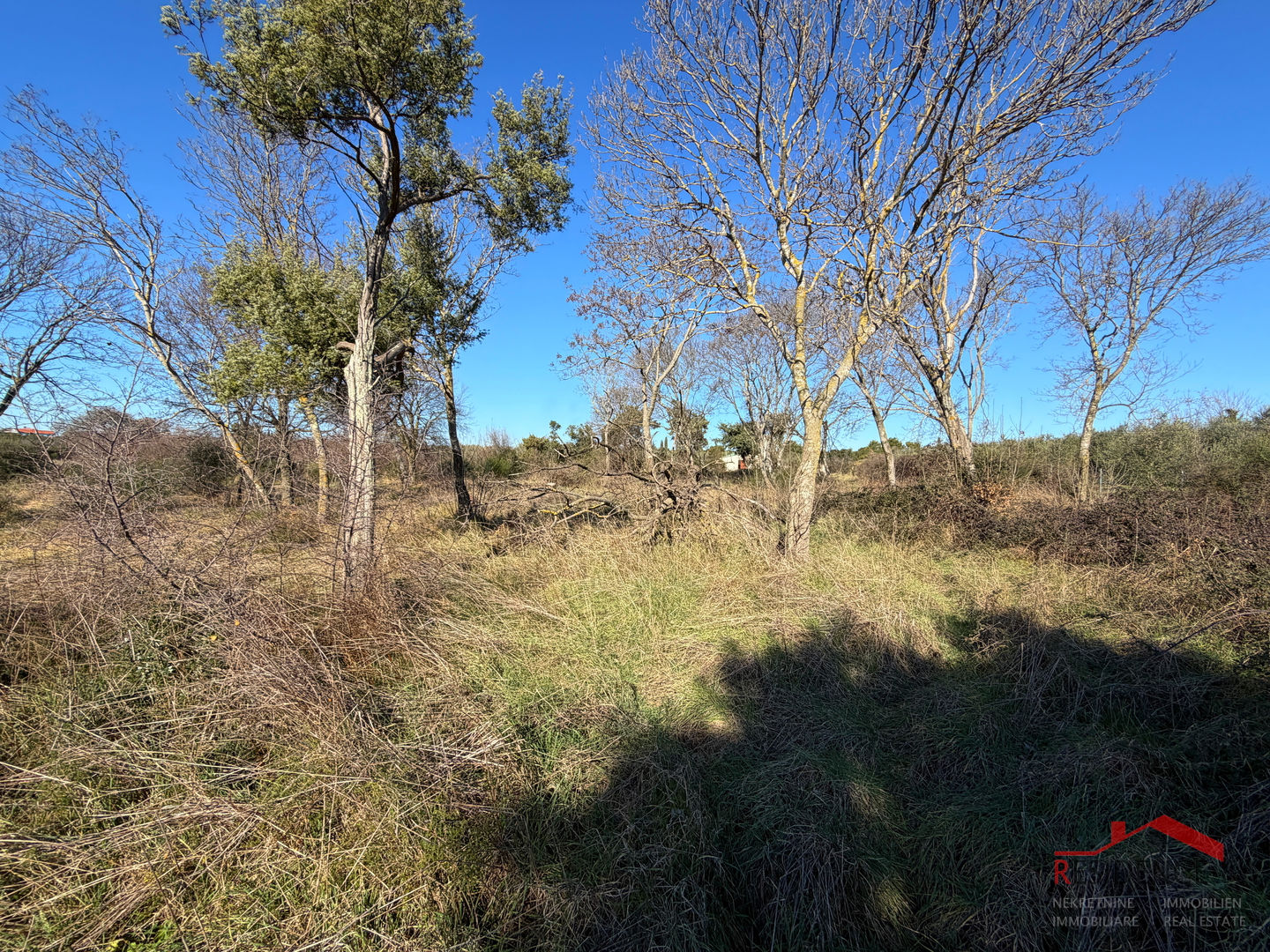 Pula, Monte Turco, Land, Electricity, Water well