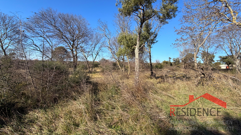 Pula&comma; Monte Turco&comma; zemlji&scaron;te&comma; struja&comma; bu&scaron;otina vode
