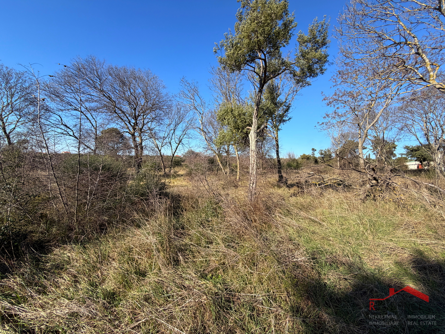 Pula, Monte Turco, Land, Electricity, Water well