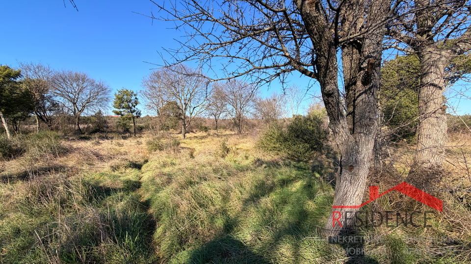 Pula&comma; Monte Turco&comma; zemlji&scaron;te&comma; struja&comma; bu&scaron;otina vode