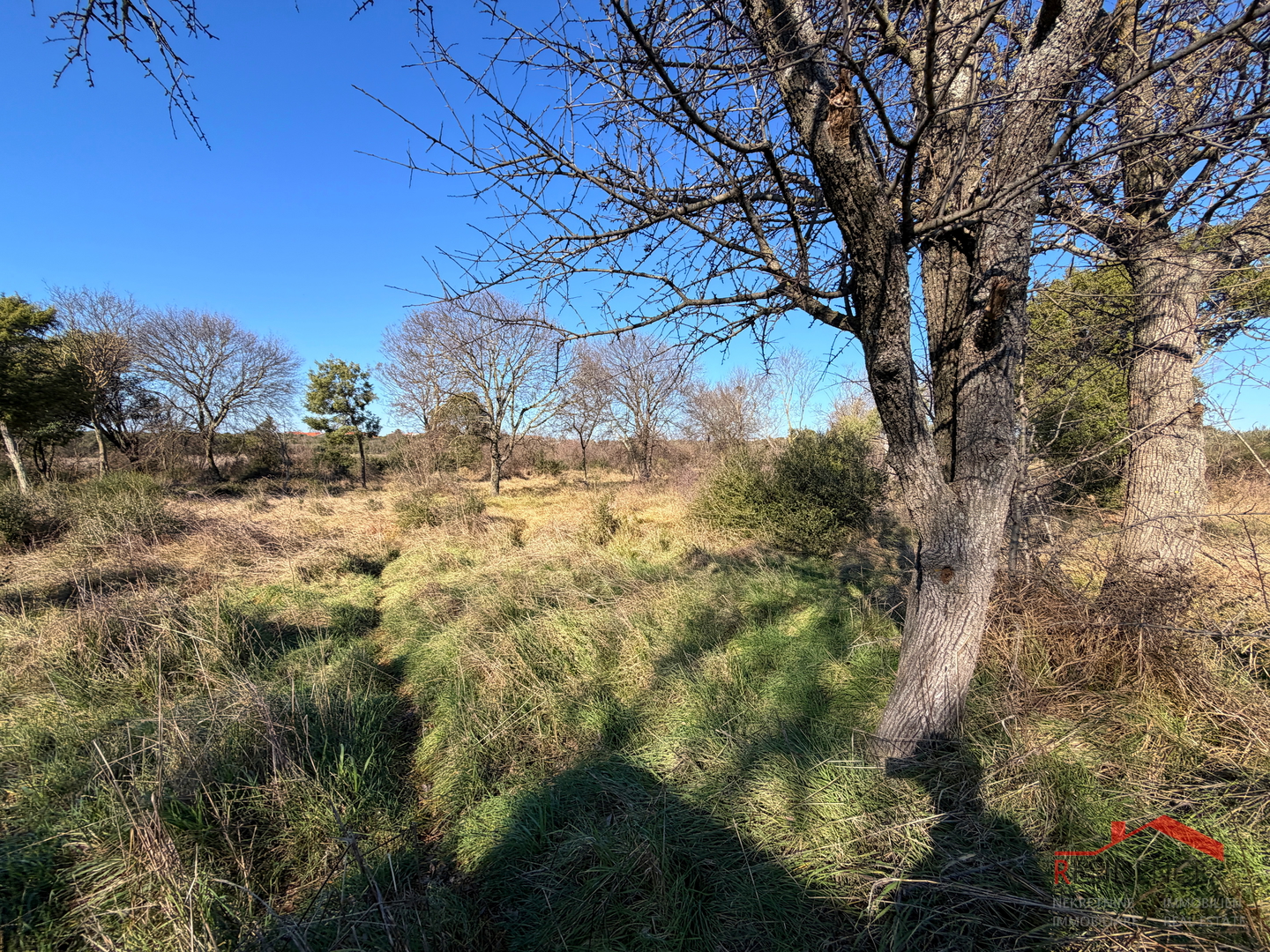 Pula, Monte Turco, Land, Electricity, Water well
