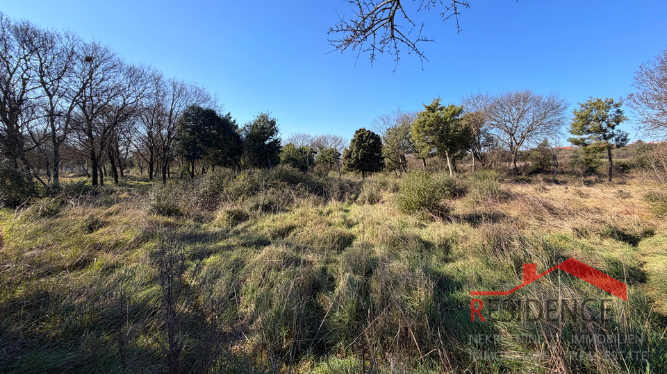 Pula&comma; Monte Turco&comma; zemlji&scaron;te&comma; struja&comma; bu&scaron;otina vode