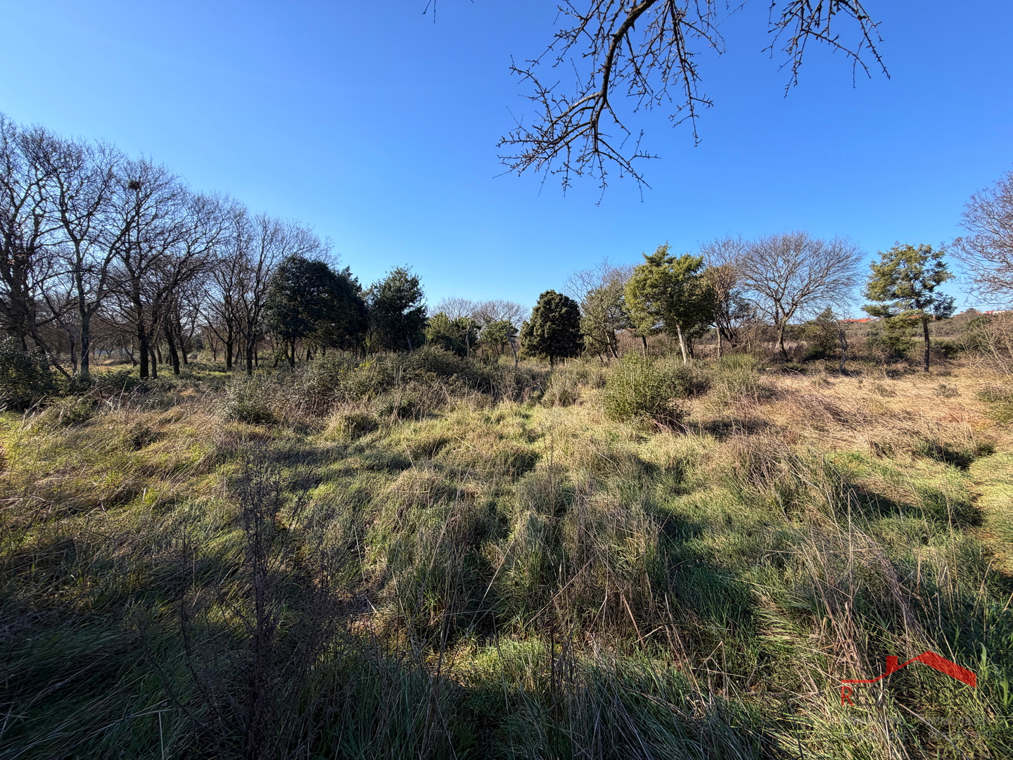 Pula, Monte Turco, Land, Electricity, Water well