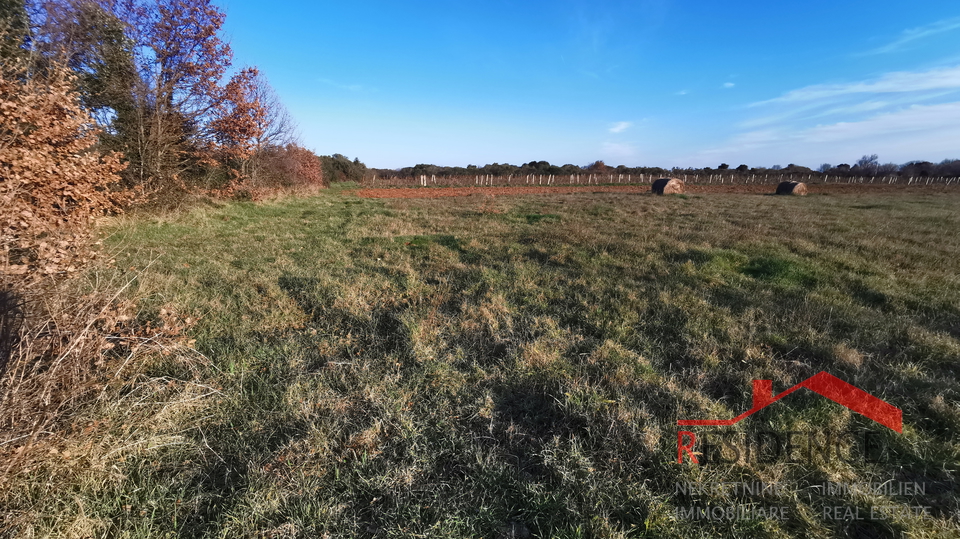 ŠIŠAN. GRAĐEVINSKO ZEMLJIŠTE, INDUSTRIJSKA ZONA