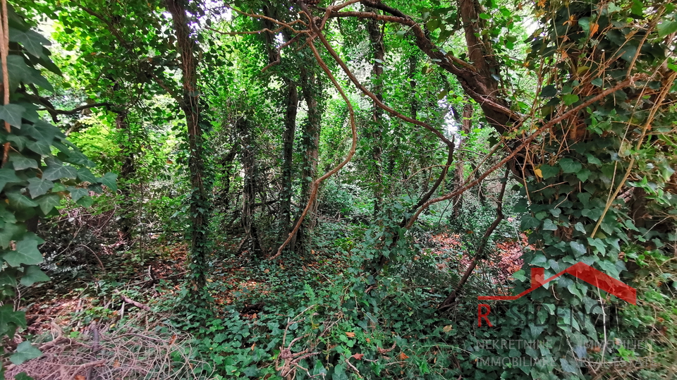 Šišan, Ackerland
