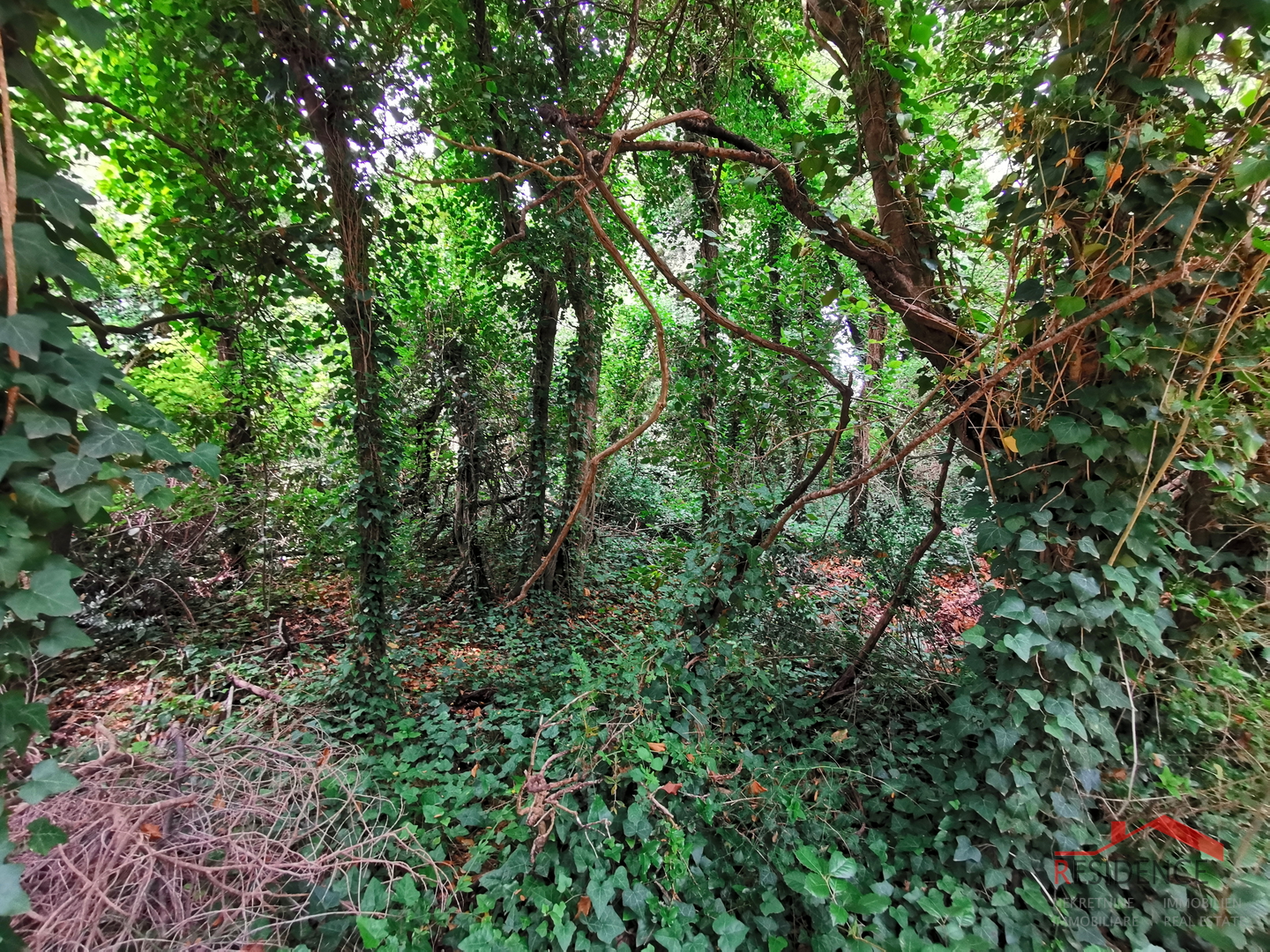 Šišan, poljoprivredno zemljište