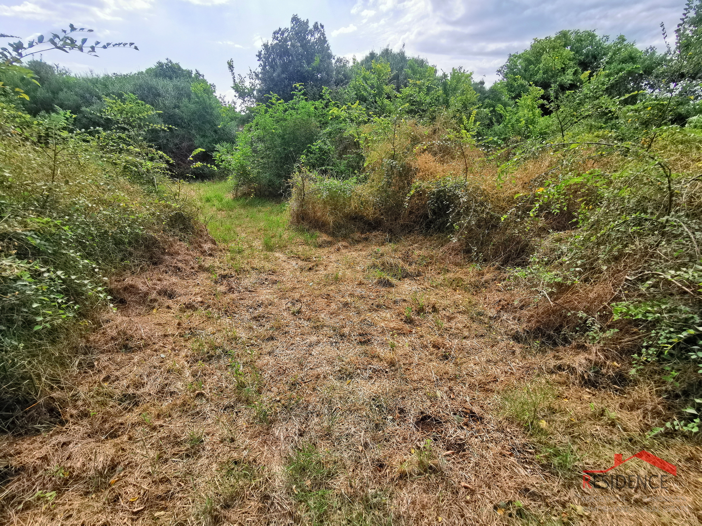 Šišan, poljoprivredno zemljište