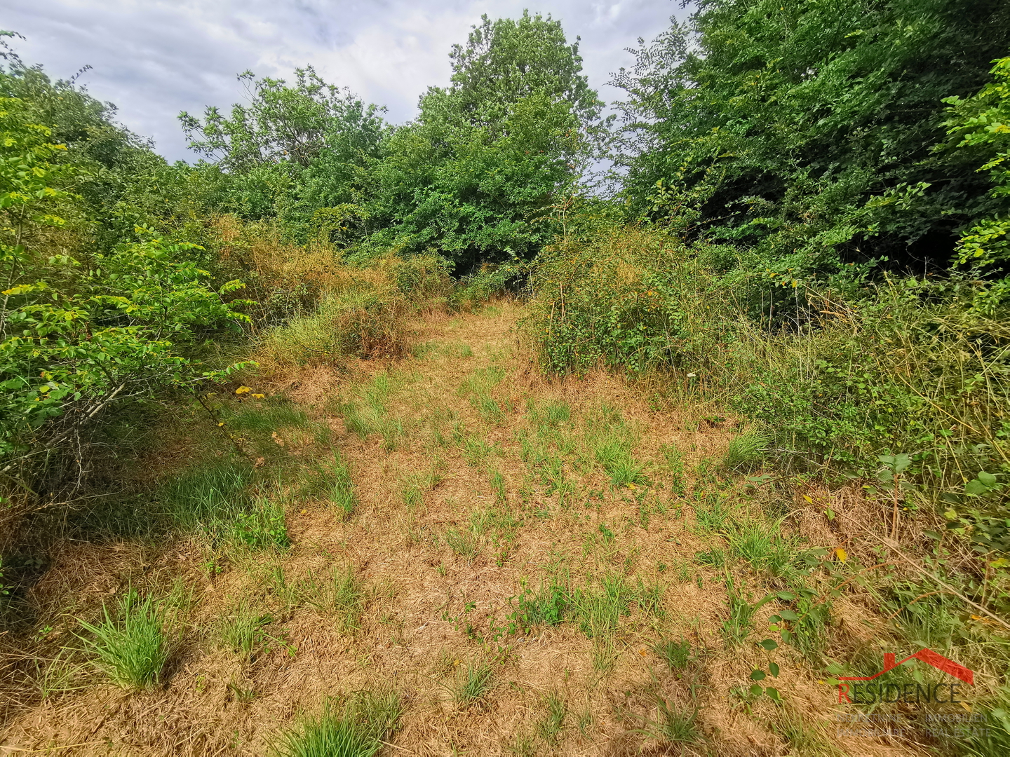 Šišan, poljoprivredno zemljište