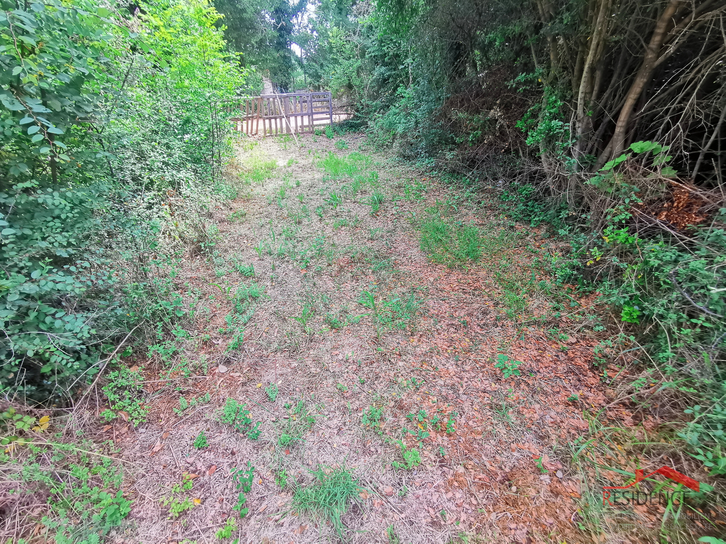 Šišan, poljoprivredno zemljište