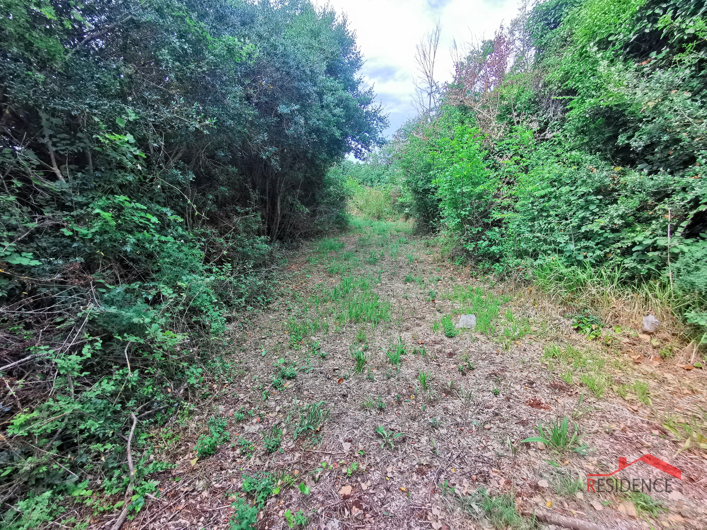 Šišan, poljoprivredno zemljište