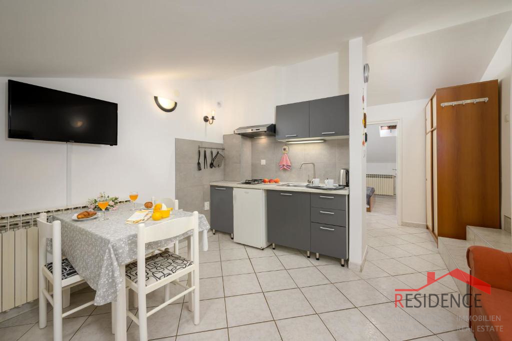 Prostrana kuća s 7 apartmana i velikim vrtom u Štinjanu