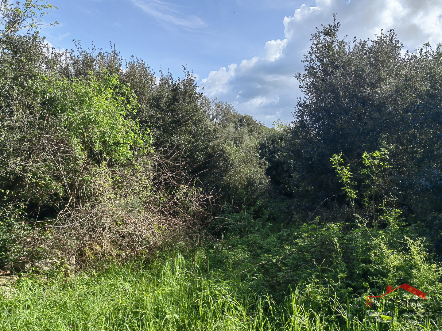 Štinjan,  zemljište na rubu urbanizacije