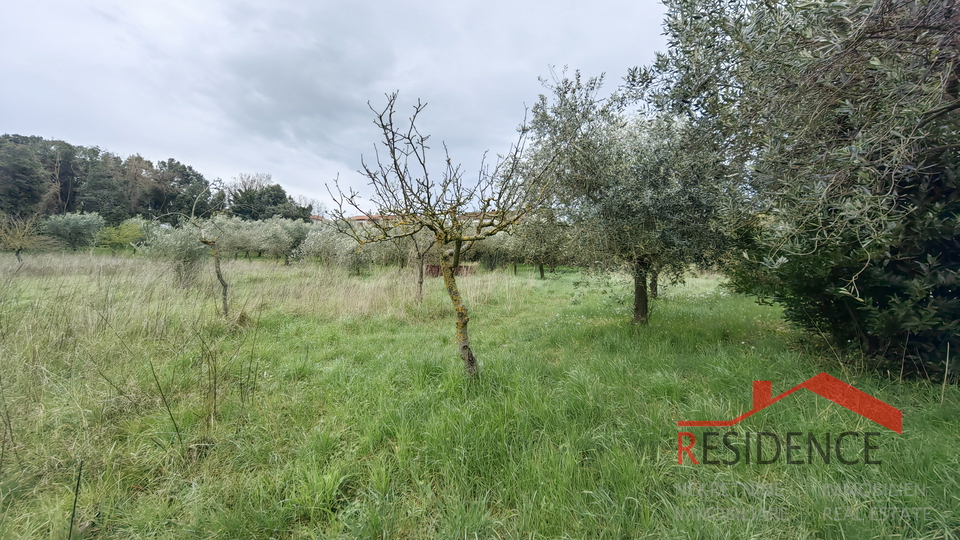 Casa a Veli Vrh con ampio giardino e terreno edificabile
