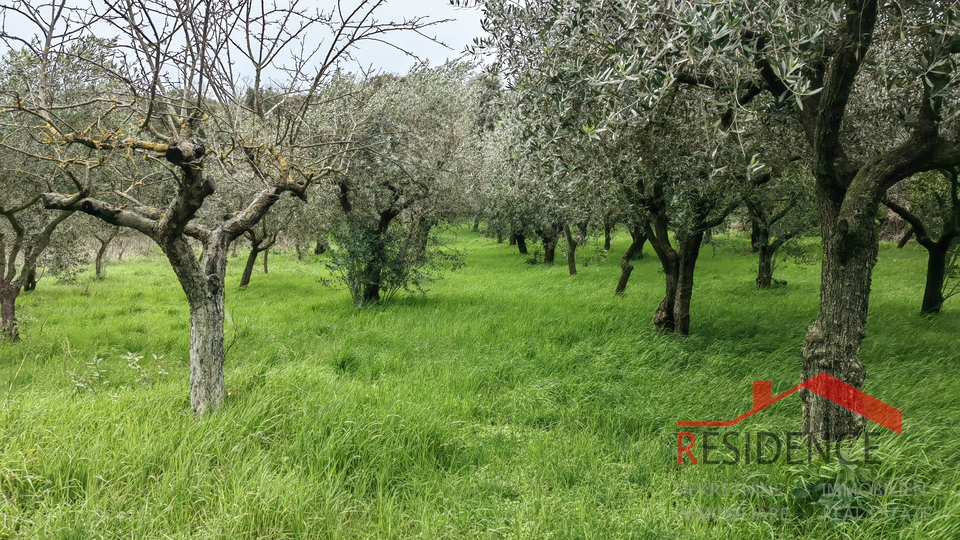 Casa a Veli Vrh con ampio giardino e terreno edificabile