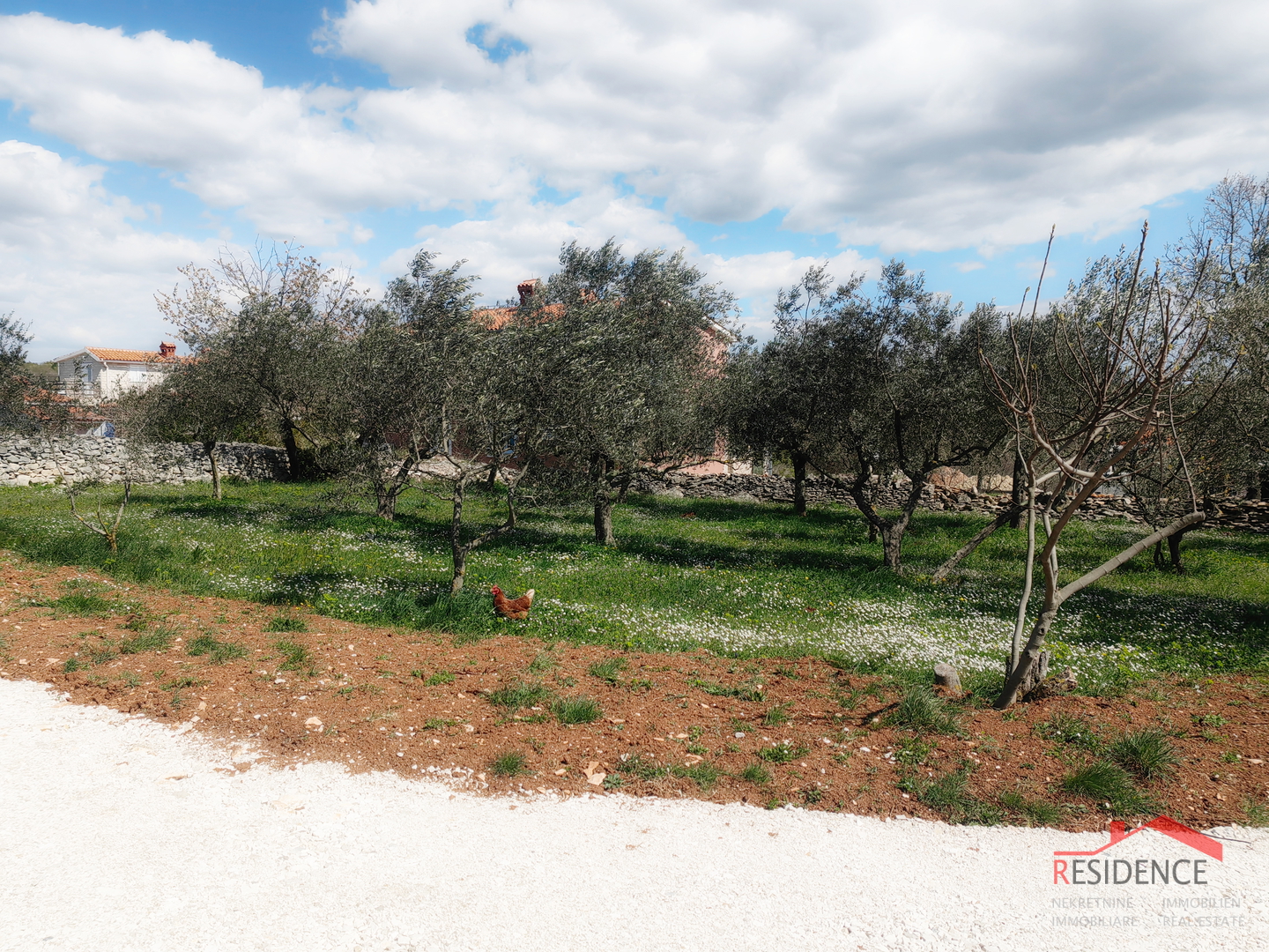 Vodnjan-surroundings, nice building land