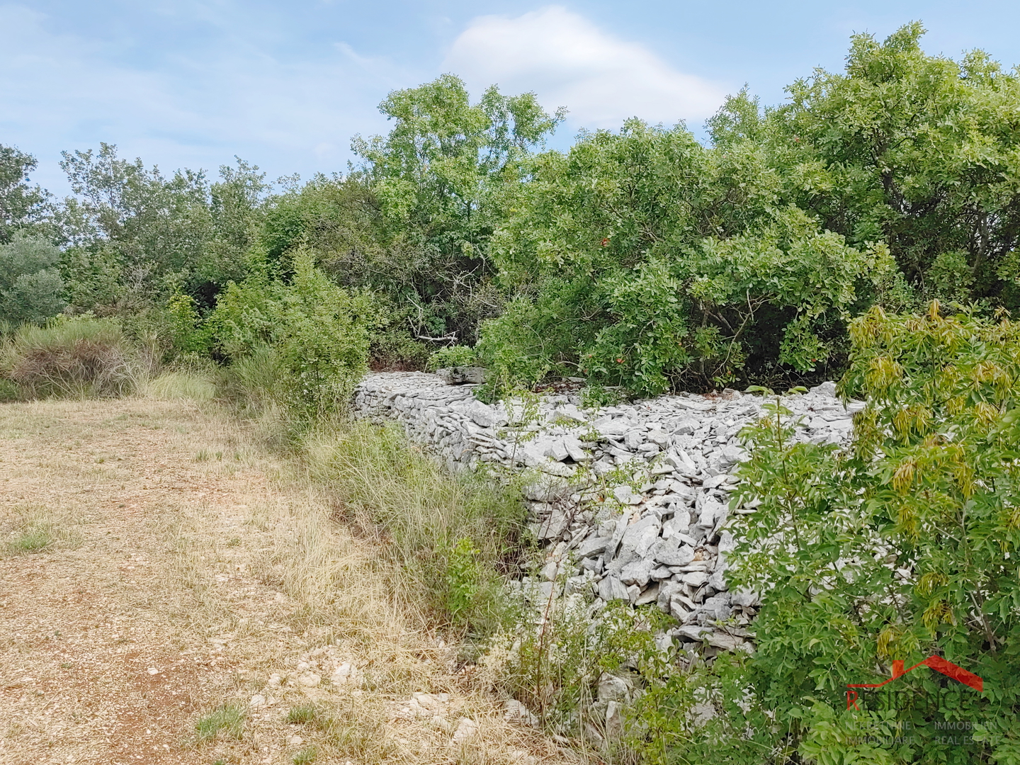 Vodnjan, agricultural land with olive trees