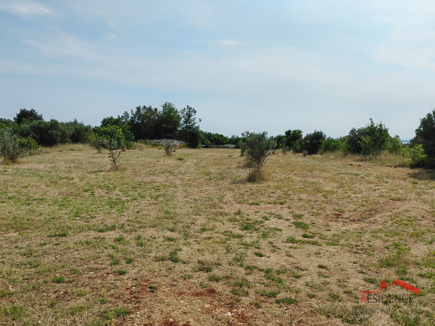 Vodnjan, agricultural land with olive trees