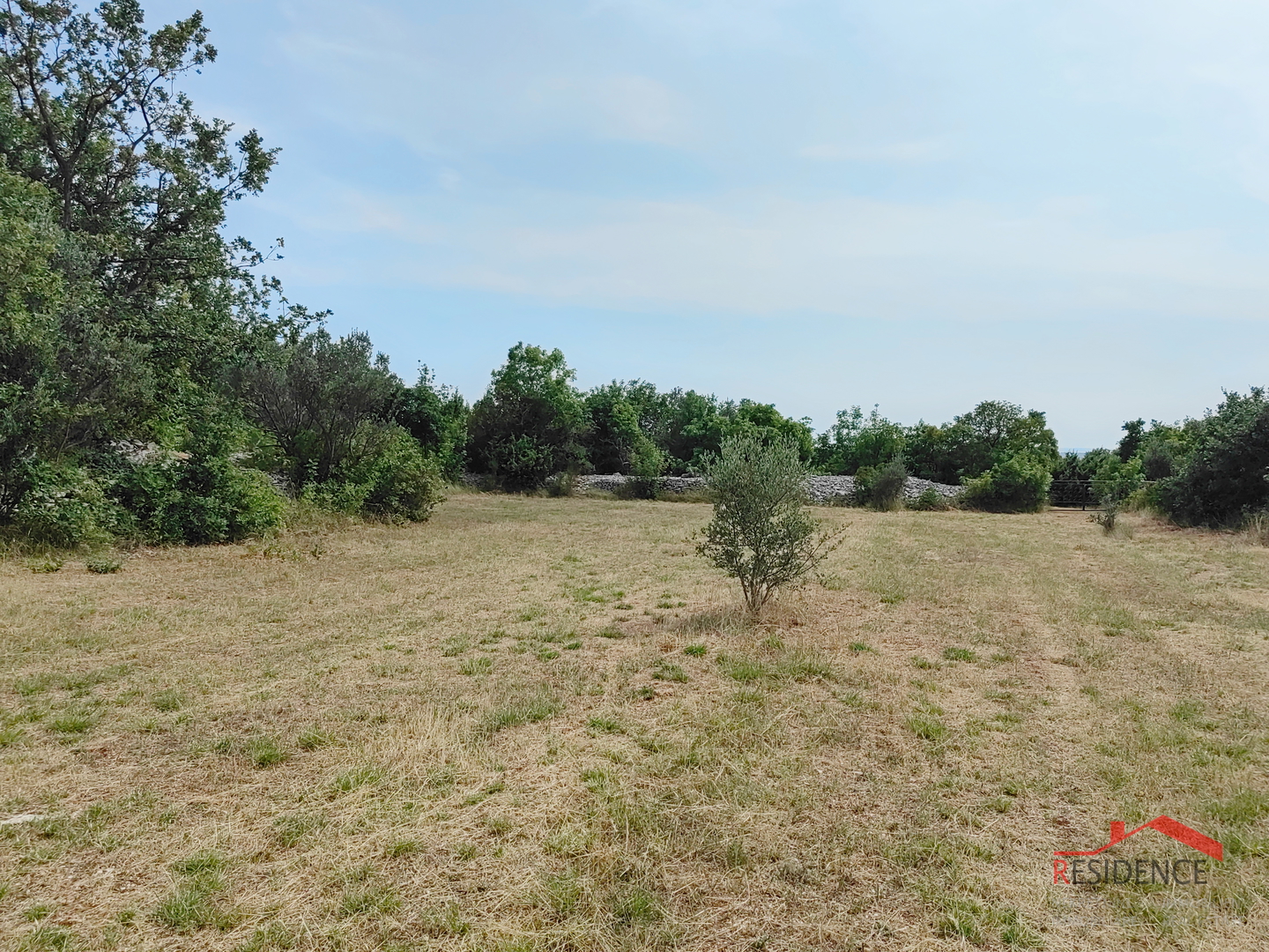 Vodnjan, agricultural land with olive trees