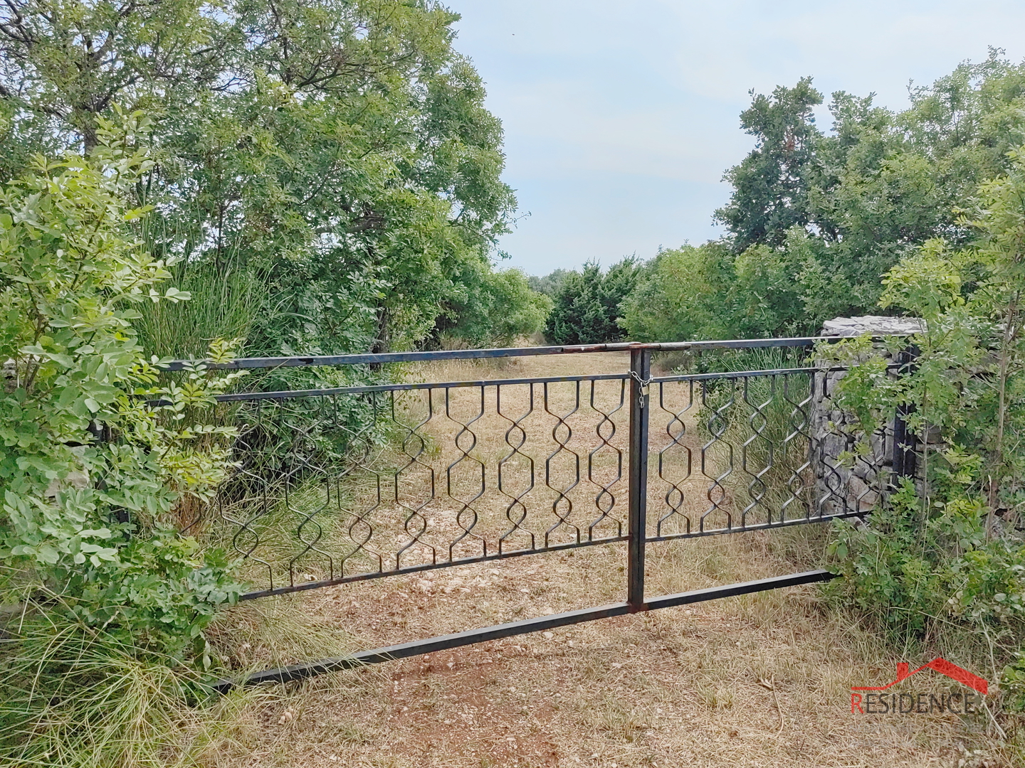 Vodnjan, agricultural land with olive trees