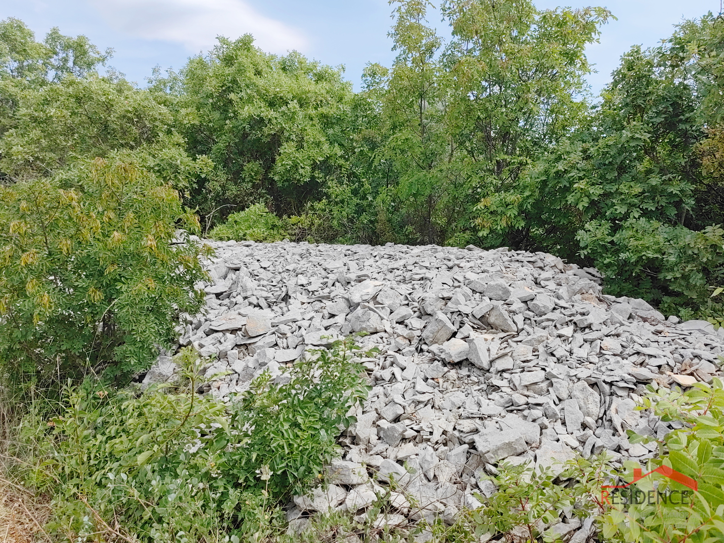 Vodnjan, agricultural land with olive trees