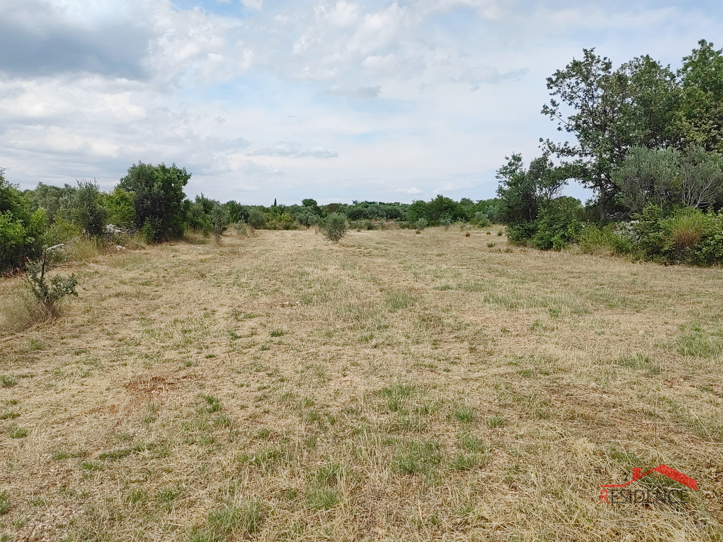Vodnjan, agricultural land with olive trees