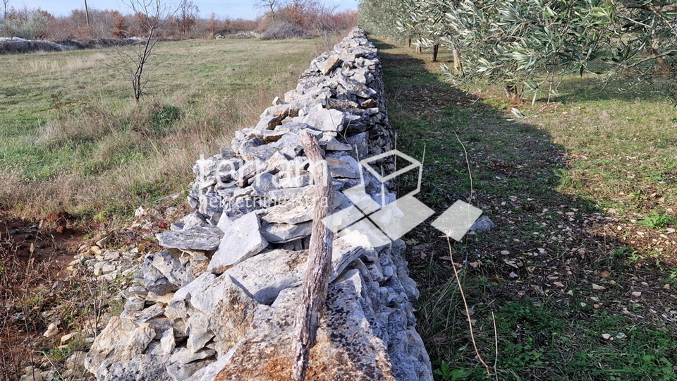 Istra, Vodnjan, građevinsko zemljište 1070m2   #prodaja