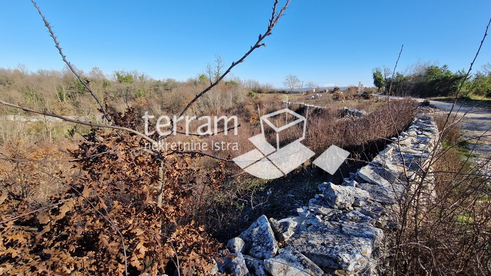 Istra, Barban, građevinsko zemljište 2849m2 #prodaja