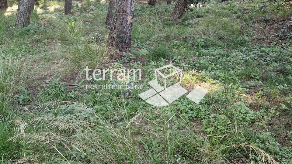 Istria, Pula, building plot 592m2, TOP LOCATION #sale