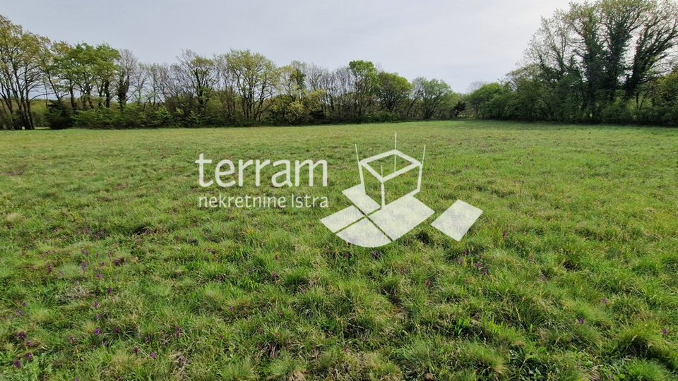 Istria&comma; Barban&comma; Hrelji&cacute;i&comma; Building land 3791m2 &num;sale
