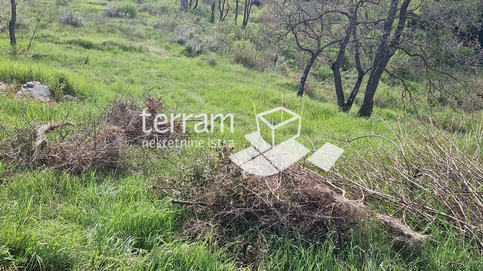 Istra, Loborika, građevinsko zemljište 2711m2 NOVO  #prodaja