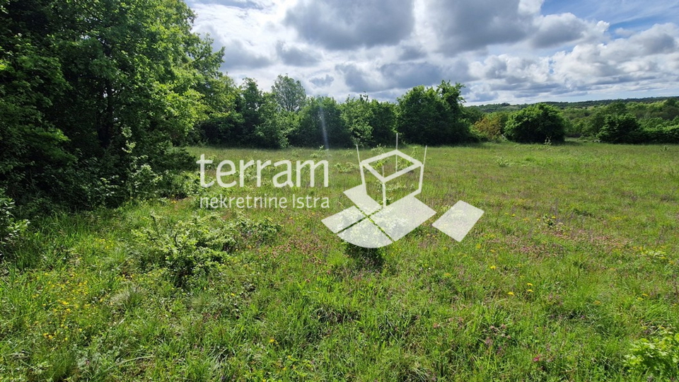 Istria, Svetvinčenat, building plot 4776m2, GREAT LOCATION #sale