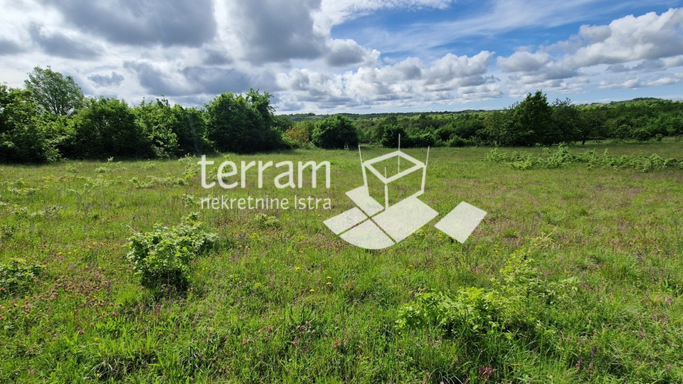 Istria, Svetvinčenat, building plot 4776m2, GREAT LOCATION #sale