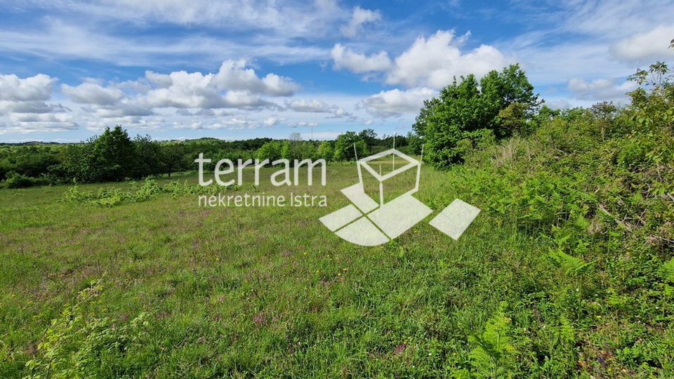 Istria, Svetvinčenat, building plot 4776m2, GREAT LOCATION #sale