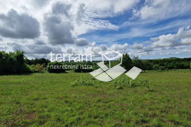 Istria, Svetvinčenat, building plot 4776m2, GREAT LOCATION #sale