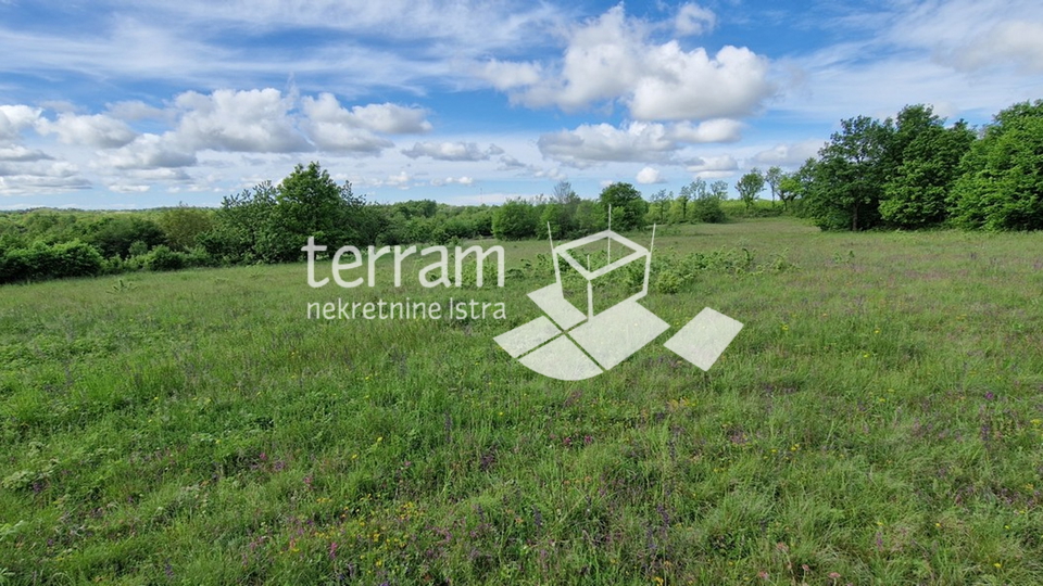 Istria, Svetvinčenat, building plot 4776m2, GREAT LOCATION #sale