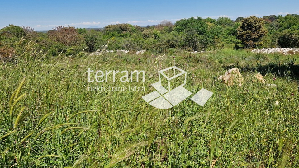 Istria, Pula, Vintijan, building plot 1143m2 #sale