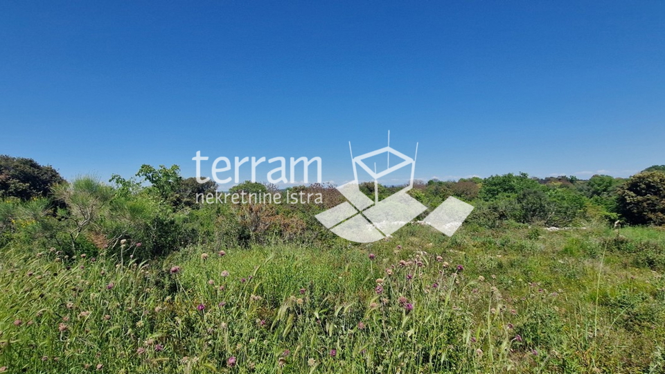 Istria, Pula, Vintijan, building plot 1143m2 #sale