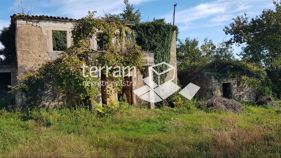 Istrien, Gračišće, Lančišće altes istrisches Haus 300m2 Garten 6856m2