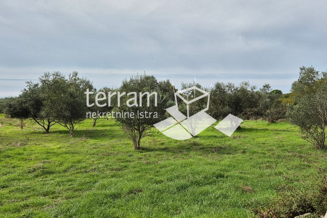 Istria, Vodnjan, Galižana, agricultural land 4546m2 # for sale