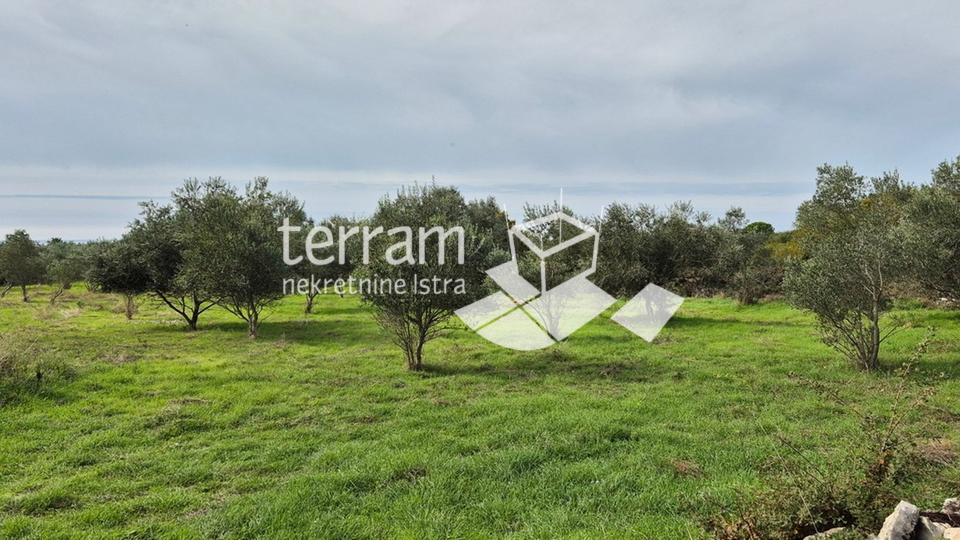 Istria, Vodnjan, Galižana, agricultural land 4546m2 # for sale