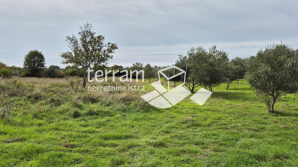 Istria, Vodnjan, Galižana, agricultural land 4546m2 # for sale