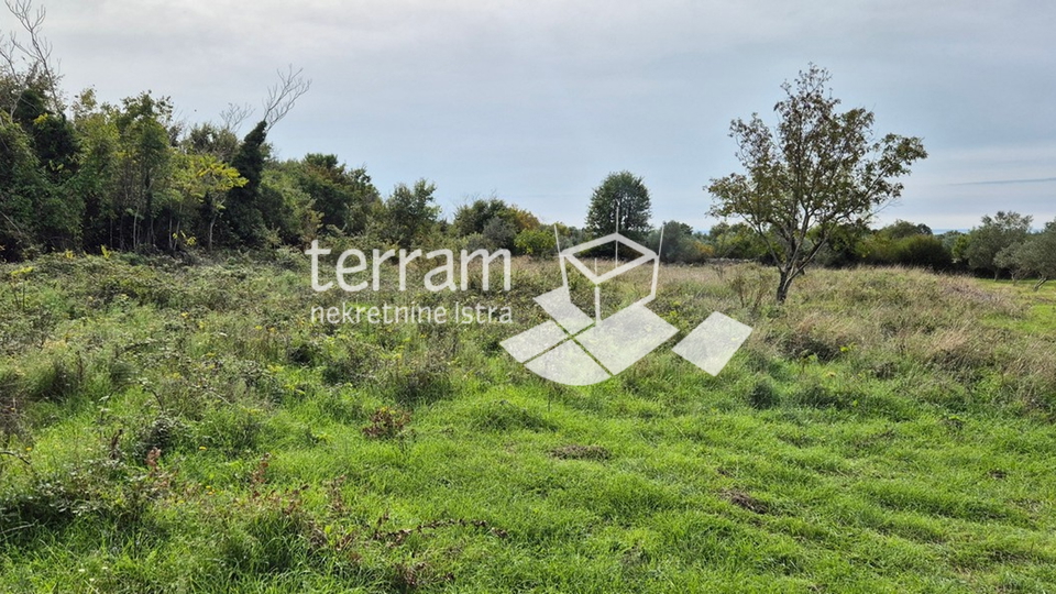 Istria, Vodnjan, Galižana, agricultural land 4546m2 # for sale