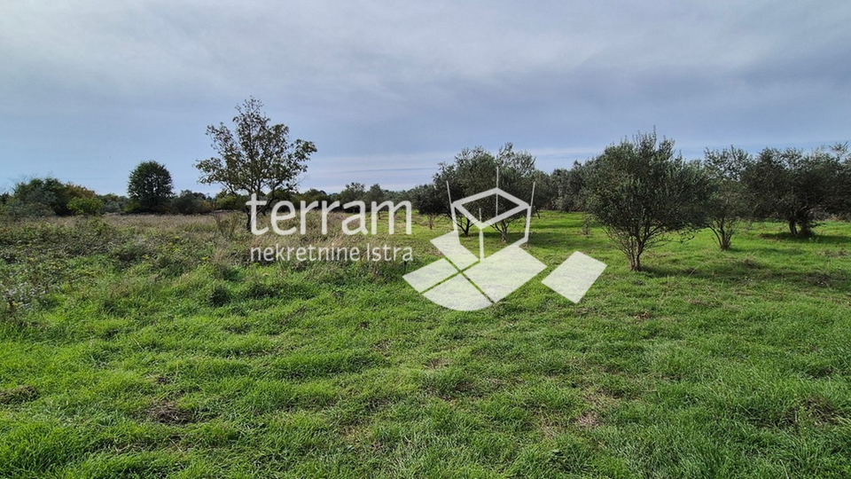 Istria, Vodnjan, Galižana, agricultural land 4546m2 # for sale