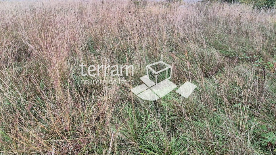 Istria, Žminj, several building plots of 533m2 #sale