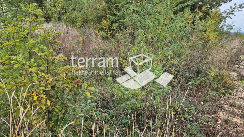 Istria, Žminj, several building plots of 533m2 #sale