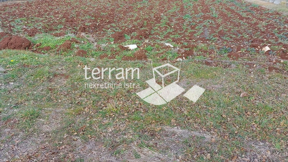 Istria, Barban, Hrboki, building land 1505m2 #for sale