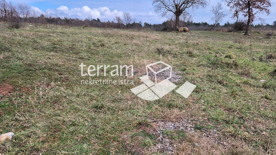 Land&comma; 5994 m2&comma; For Sale&comma; Mar&ccaron;ana